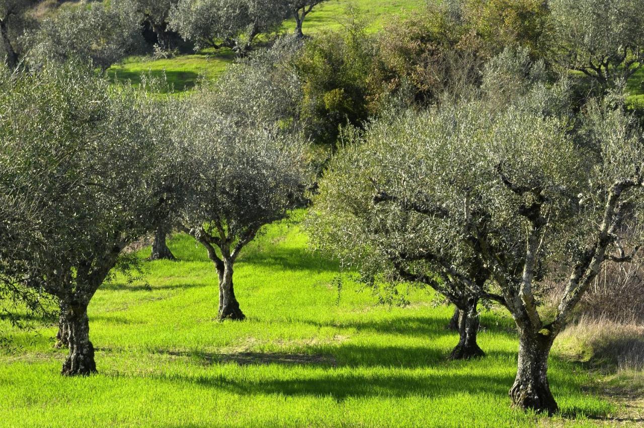 Il Podere La Casina Monsummano Terme Buitenkant foto