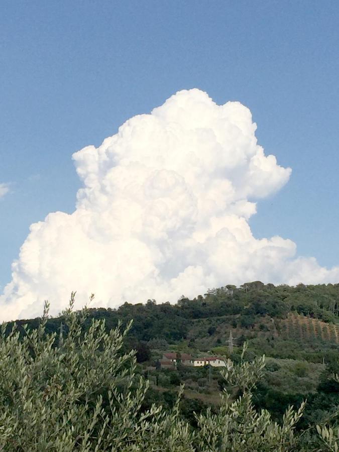 Il Podere La Casina Monsummano Terme Buitenkant foto