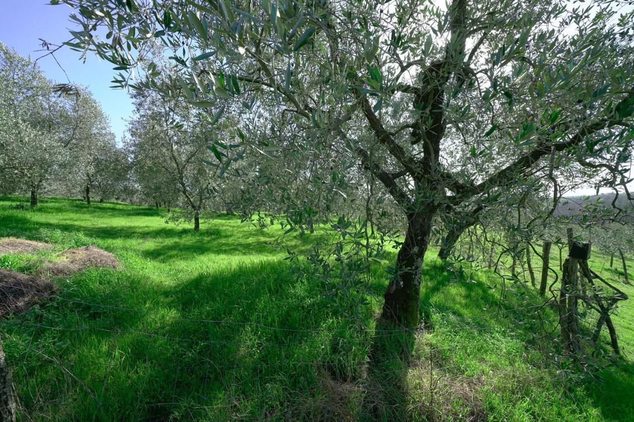 Il Podere La Casina Monsummano Terme Buitenkant foto