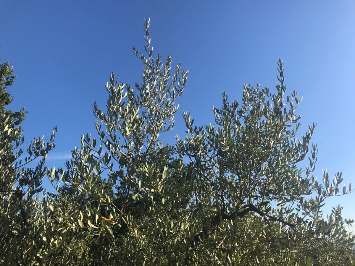 Il Podere La Casina Monsummano Terme Buitenkant foto