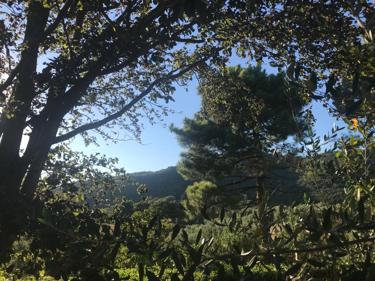 Il Podere La Casina Monsummano Terme Buitenkant foto