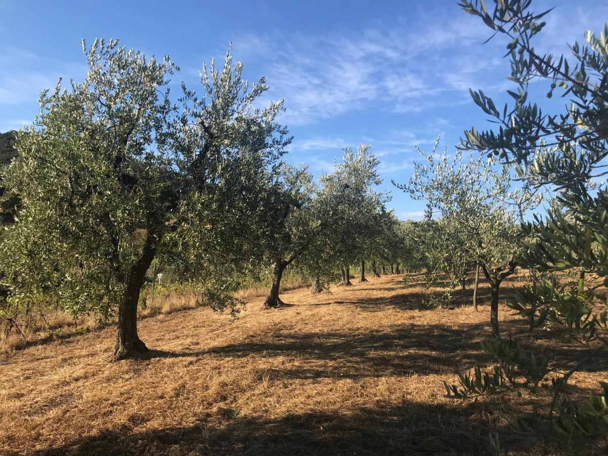Il Podere La Casina Monsummano Terme Buitenkant foto